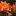 aredon.ru favicon