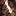 argunovamarina.ru favicon
