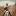 arsburo.ru favicon