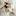 art-bufet.ru favicon