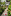 artur-sochi.ru favicon