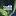auroralights.ru favicon