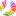 avgustnsk.ru favicon