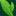 b-green.ru favicon