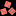 baby-top.shop favicon