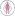 bareo-congress.ru favicon