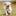 bareverkir.ru favicon