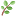 barnaulov.ru favicon