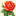 bashschool2.ru favicon
