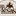 bbq-texas.ru favicon