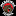 bearrace.ru favicon