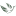 belaiatsaplia.ru favicon