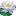 beliylotoc.ru favicon