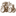 belsel.ru favicon