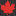 besplatnye-kursy.ru favicon