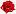 best-roses.ru favicon