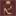 bigobuv.ru favicon