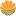 bio63.ru favicon