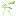 bodyline-dinamo.ru favicon