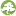 bonsaimarket.ru favicon