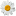 bonte.ru favicon