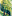 boris-chernyshev.ru favicon