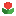 botanika-perm.ru favicon