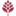 browin.ru favicon