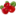 brusnika-hotel.ru favicon