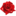 buket24delivery.ru favicon