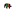caparol-market.ru favicon