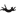 cat-y-spb.ru favicon