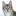 catlar.ru favicon
