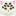 catwomenko.ru favicon