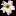 caudex.ru favicon