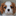 cavaleriya.ru favicon