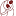centr-voskresenie.ru favicon