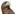 centralhostelnsk.ru favicon