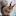 children-world.ru favicon