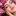 china-corea-shop.ru favicon