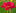 chinara.ru favicon