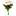 chrysanths-sort.ru favicon