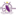 cleanqueenoren.ru favicon