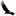 condor-flight.ru favicon
