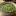 cookinus.ru favicon
