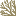 coralhotel.ru favicon