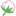cotton-store.ru favicon
