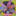 cryptocoryne.ru favicon