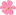 cveti-kamchatka.ru favicon