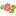 cvetioptpskov.ru favicon